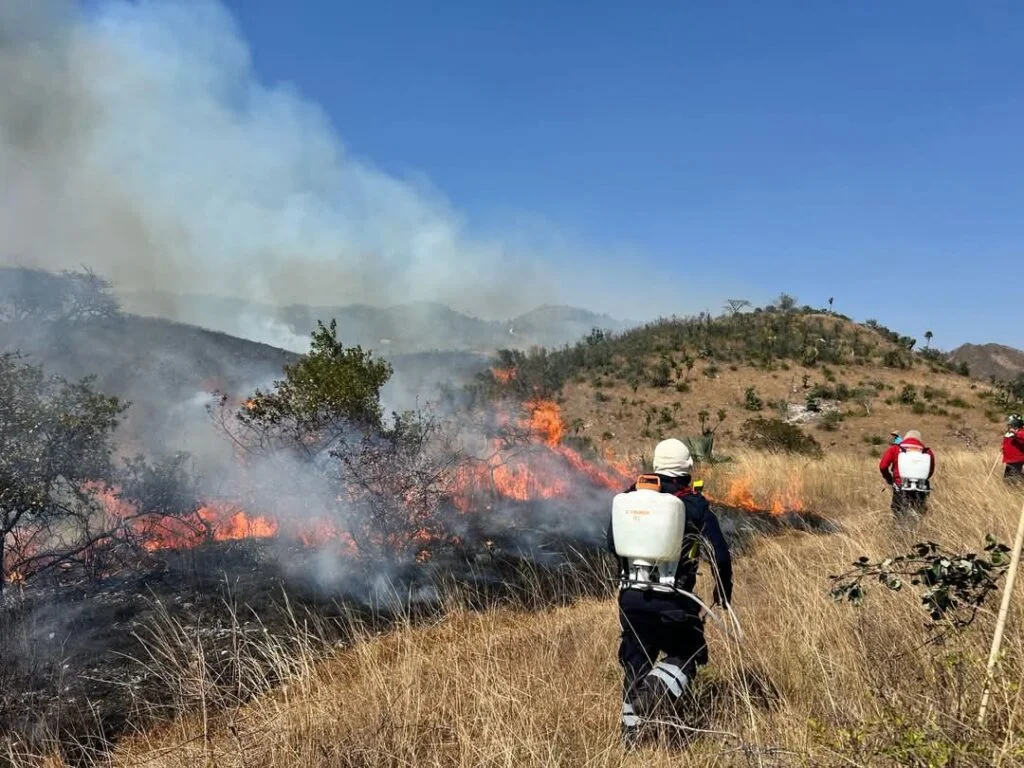 ¡ALERTA EN GUERRERO! 🚨 El fuego devora miles de hectáreas en Zirándaro