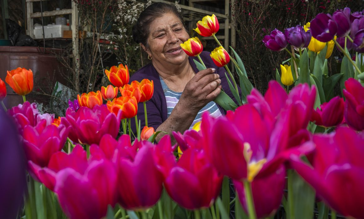 ¡ALERTA EN TU CARTERA! 🚨 El error que podría arruinar tus finanzas este Día de las Madres