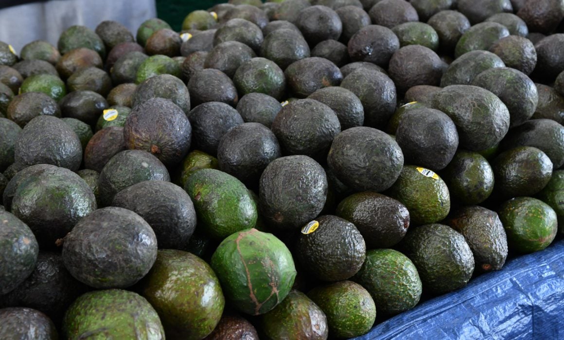 ¡Alerta Nacional! Aguacate se dispara 30.76% en México 🚨