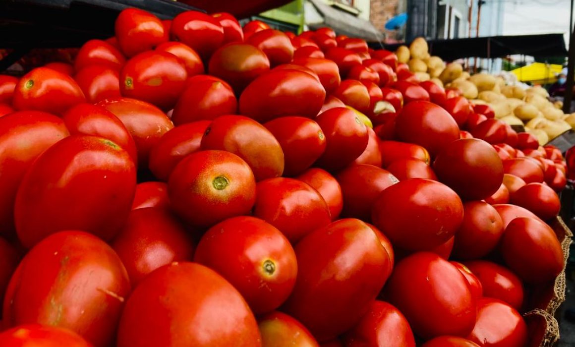 🚨 ¡ALERTA ECONÓMICA! Inflación en México se desploma a nivel histórico