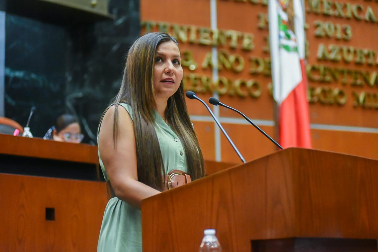 🚨 ¡Impacto en Guerrero! Diputada impulsa regulación URGENTE de Centros Familiares