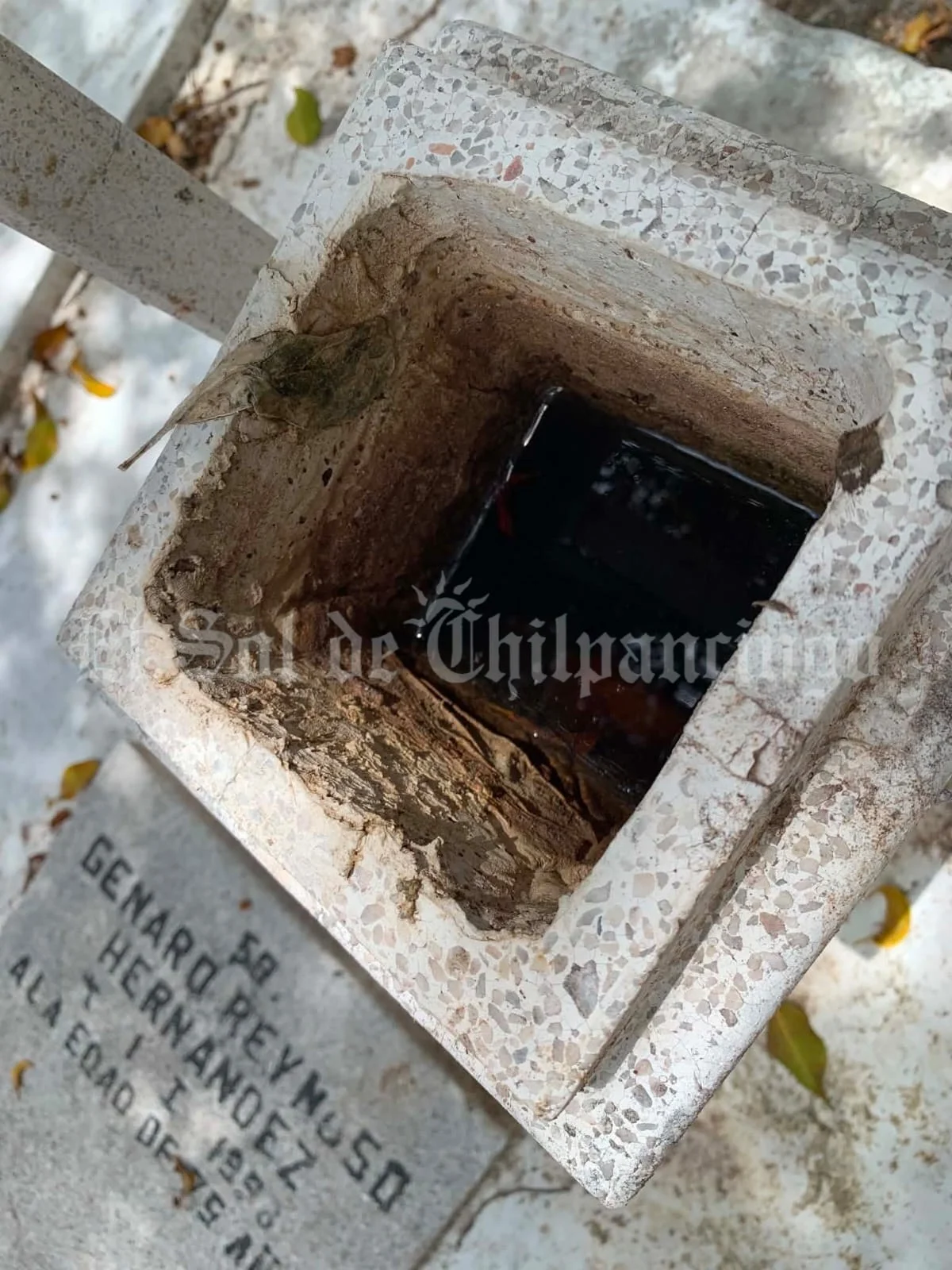 🚨 ¡ALERTA EN CHILPANCINGO! Panteón Central, ¿nido de mosquitos?