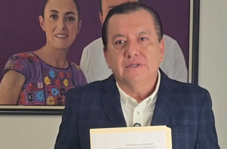 Javier Saldaña Morena Puestos