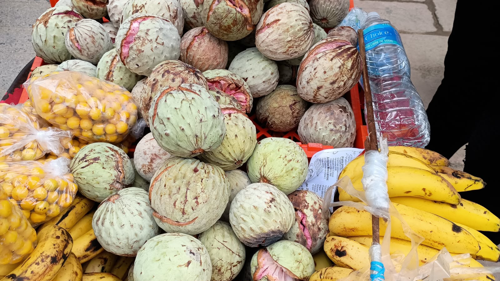 🚨 ¡ALERTA EN ATOYAC! Cosecha de Ilama en CRISIS por sequía